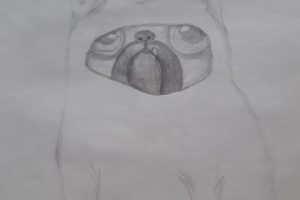 Работа 3982149