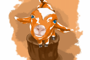 Работа 4115936