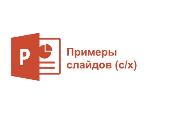 img3426930.png