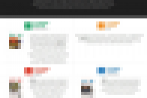 НАЦИОНАЛЬНАЯ СЕТЬ ДЕЛОВЫХ ГАЗЕТ