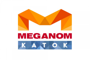 Ледовый каток ТРК MEGANOM (спорт, индустрия развлечений)