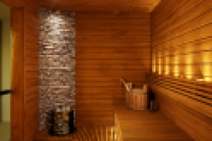 Виз сауны