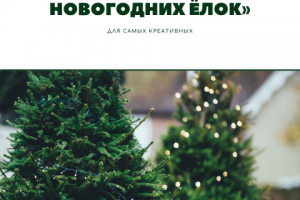 "НЕСКОЛЬКО ИДЕЙ ДЛЯ ОРИГИНАЛЬНЫХ НОВОГОДНИХ ЁЛОК"