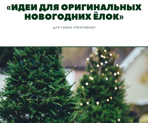 img4128465.png