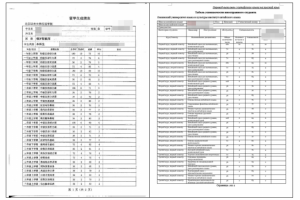 Табель успеваемости иностранного студента