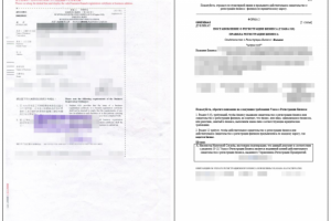 Регистрация бизнеса