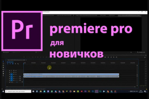 Организация проекта в Premiere Pro