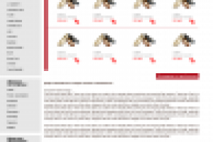 Магазин обуви и аксессуаров