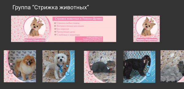 img3701273.png