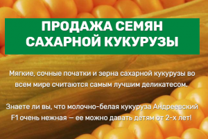 СЕМЕНА КУКУРУЗЫ