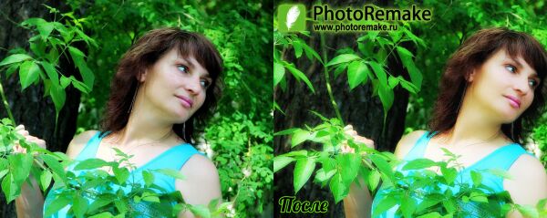 img4102841.png