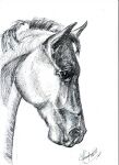 img2747217.png