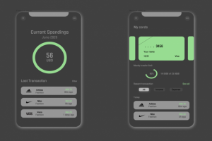 Мобильное приложение для контроля расходов