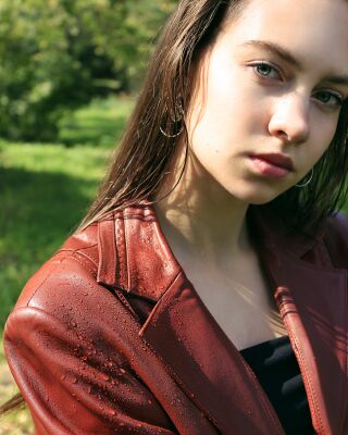 img4127065.png