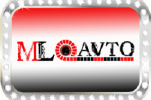 Логотип для автомагазина