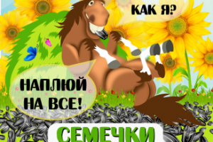 Дизайн для упаковки семечек