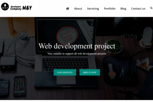 Web development project