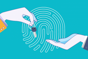 Как МФО используют персональные данные?