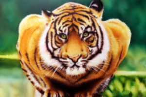 Работа 2398518