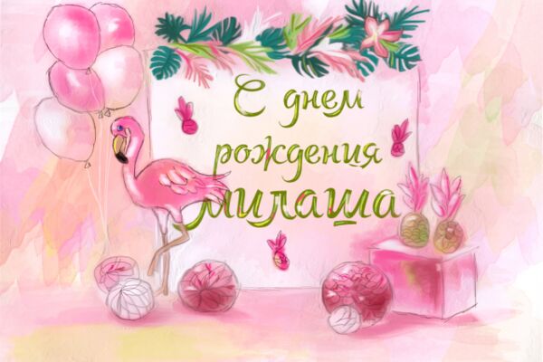 img3269851.png
