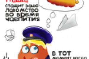 Работа 2933577