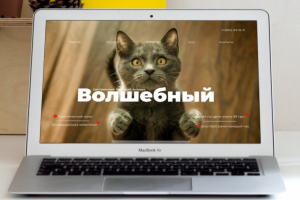 Зоопарк Волшебный