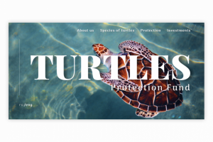 Фонд защиты черепах