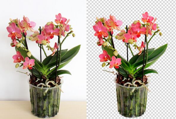 img4123427.png