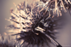 Работа 2039508