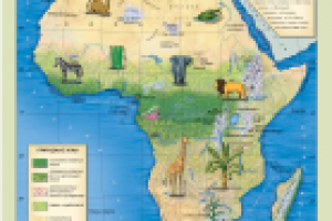 Карта Африки