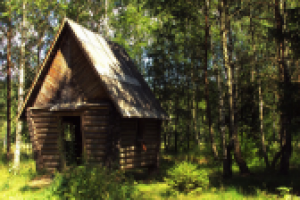 Зетерянный теремок