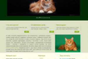 Сайт "Academy's"