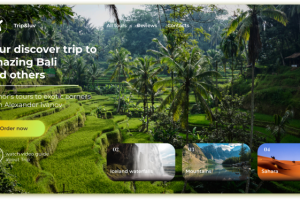 Website Discover trip to amazing Bali
