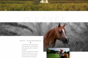 Сайт для конного клуба
