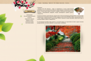 Интернет-магазин японских товаров