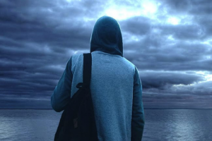 Работа 3740228