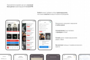 База правонарушений / APP UI/UX / 2020