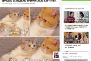 я устал,прикольные картинки