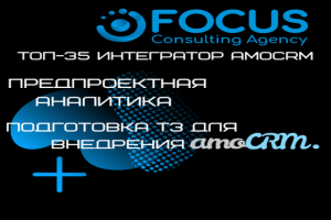 Предпроектная аналитика. Подготовка ТЗ для внедрения amoCRM.