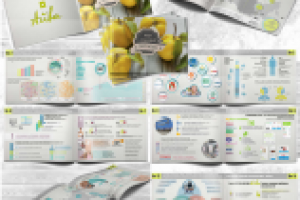 Маркетинг-кит