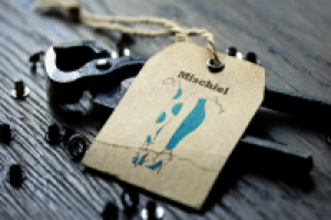 Лого для новой ТМ женских чулочно-носочных изделий