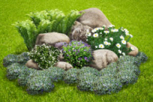 Фотоколлаж. Композиция из камней и растений