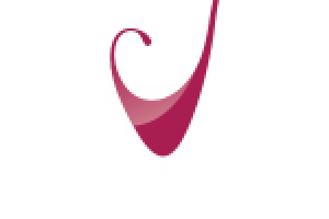 Работа 2035048