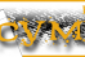 Реклама отшива промо-сумок