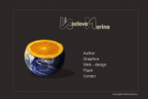 Дизайнерское портфолио