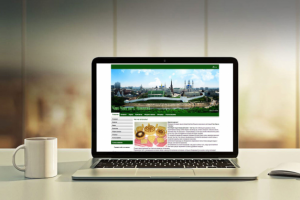 Сайт по продаже вкусняшки Чак Чак