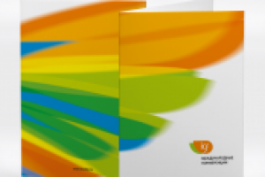 Папка ICF Международные конференции