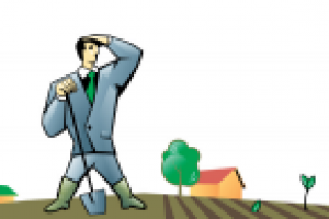 Сезонные работы