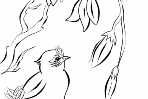 Работа 3774775