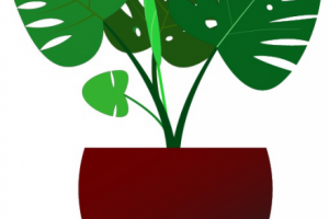 Работа 3774774